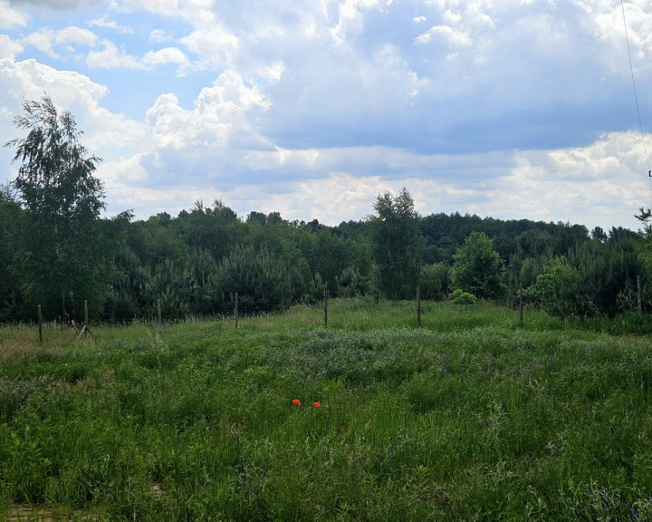 Dom Sprzedaż Lubnów Nowosielce Eliasza