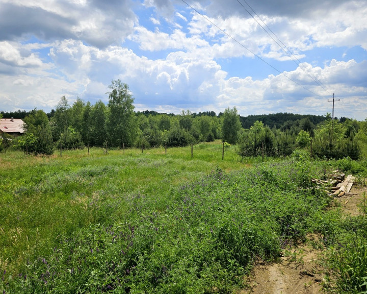 Dom Sprzedaż Lubnów Nowosielce Eliasza