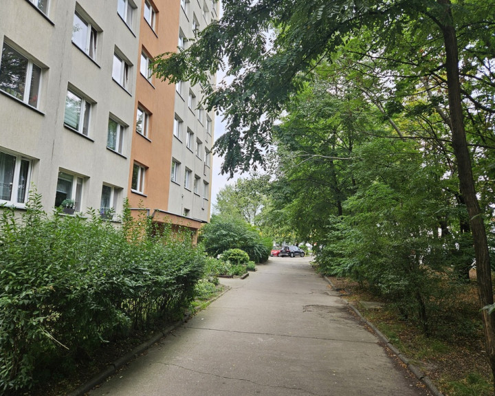 Mieszkanie Sprzedaż Wrocław Wrocław-Psie Pole Żmigrodzka