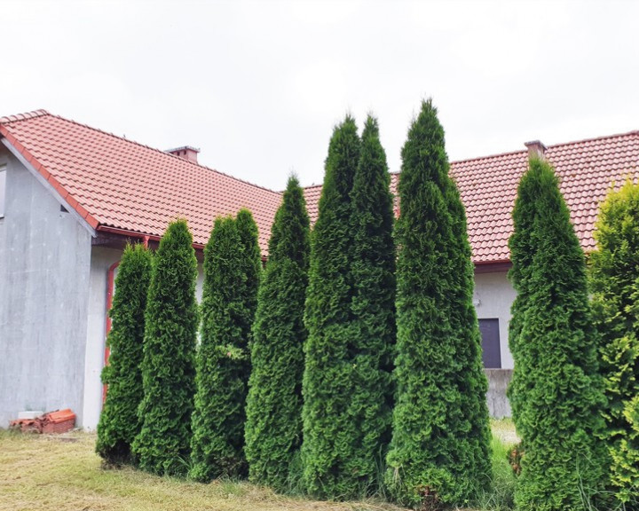 Dom Sprzedaż Czernica Wrocławska